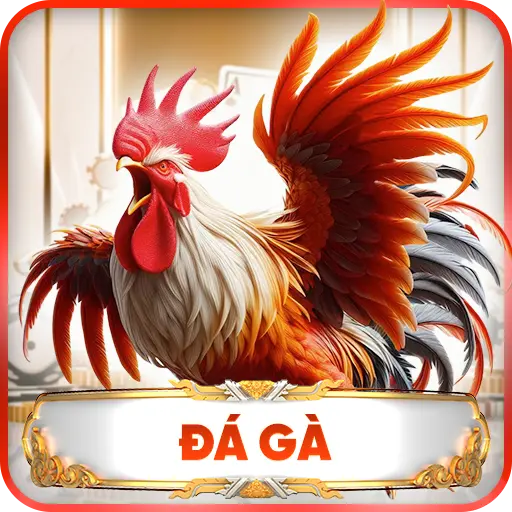 Đá Gà G28 – Chiến Trường Đầu Kê Đầy Kịch Tính Và Hấp Dẫn